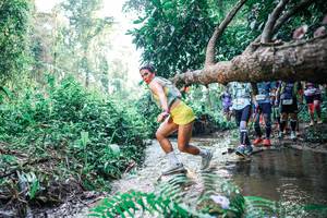 BIB: 
                            <button type="button" onclick="openModal(25455909)" class="btn btn-primary btn-sm float-right btn-popup" data-toggle="modal" data-target=".modal-high-quality">
                        <i class="fas fa-shopping-cart"></i> Add to Cart
                    </button>
                                            <button type="button" onclick="isThisMe(25455909, true)" class="btn btn-success btn-sm float-right btn-popup btn-isme hidden" data-toggle="tooltip" data-placement="bottom" title="นี่คือรูปของคุณใช่ไหม คลิกที่นี่เพื่อเอาเข้าอัลบั้ม">
                        <i class="fas fa-plus"></i> Add to album
                    </button>
                    <button type="button" onclick="isThisMe(25455909, false)" class="btn btn-warning btn-sm float-right btn-popup btn-isnotme hidden">
                        <i class="fas fa-ban"></i> Remove from album
                    </button>